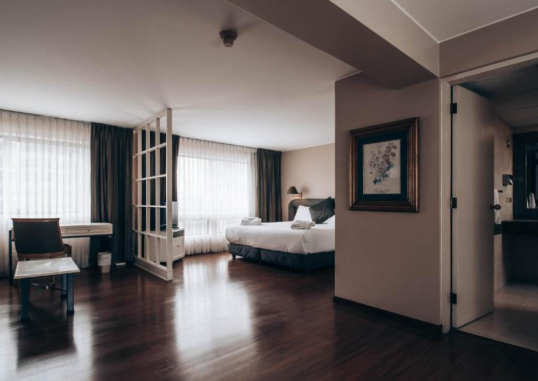 SUITES DEL BOSQUE HOTEL 7