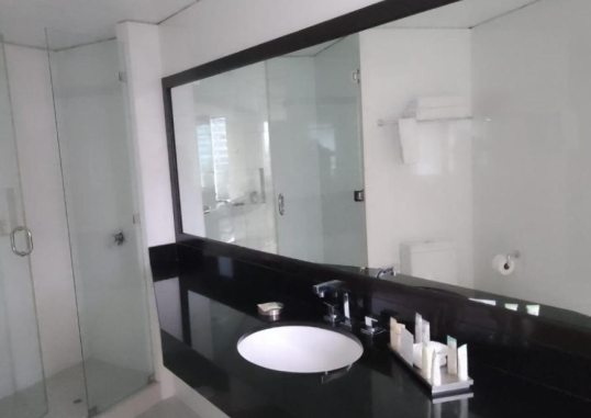 SUITES DEL BOSQUE HOTEL 9