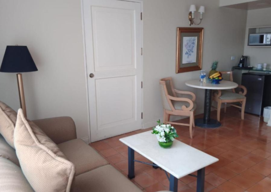 SUITES DEL BOSQUE HOTEL 10