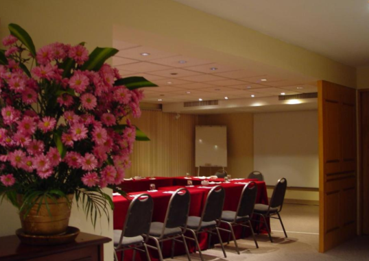 SUITES DEL BOSQUE HOTEL 12