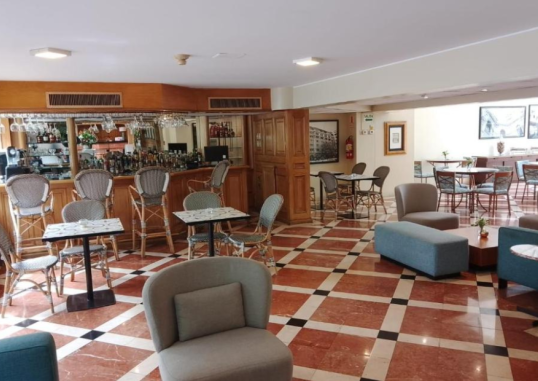 SUITES DEL BOSQUE HOTEL 19