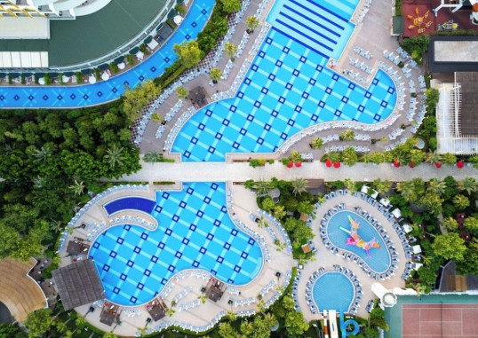 DELPHIN IMPERIAL 11