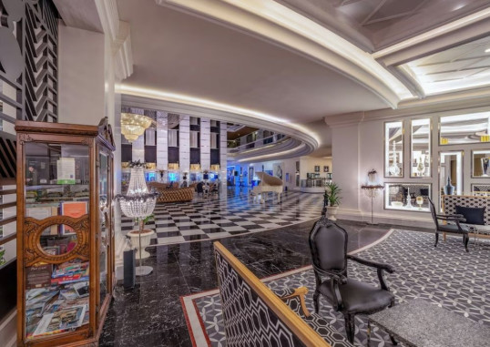 DELPHIN IMPERIAL 26