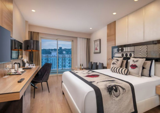 DELPHIN IMPERIAL 44