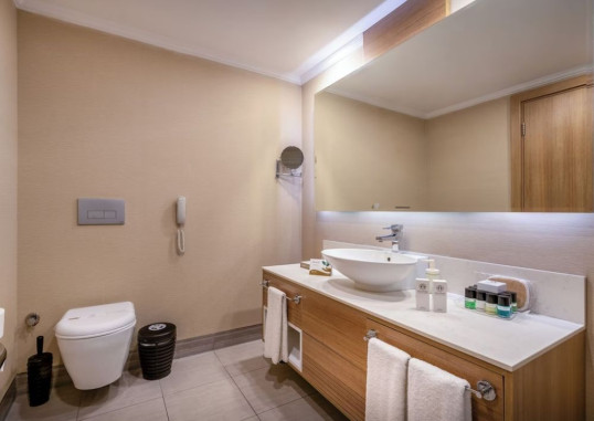 DELPHIN IMPERIAL 49