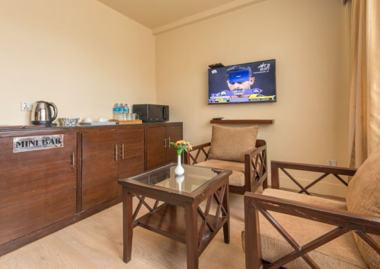 HOTEL THAMEL 29