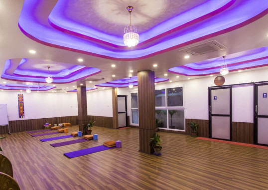 HOTEL NEPALAYA 15