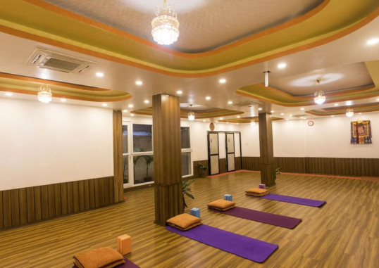 HOTEL NEPALAYA 16