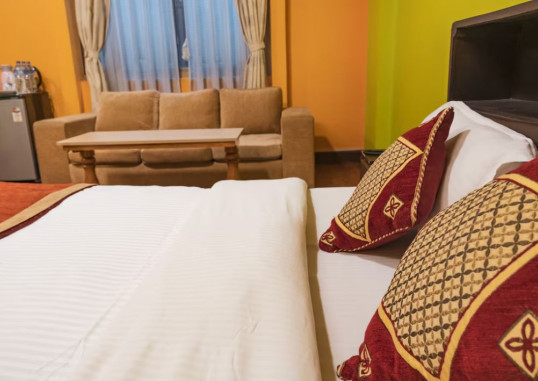 HOTEL NEPALAYA 28