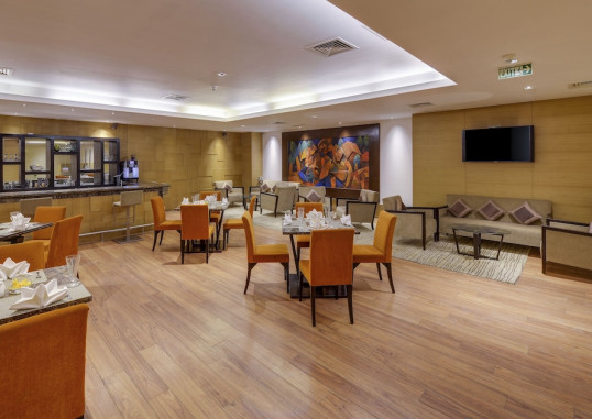 SVELTE, A MEMBER OF RADISSON INDIVIDUALS 38