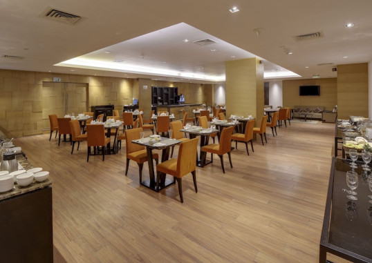 SVELTE, A MEMBER OF RADISSON INDIVIDUALS 45
