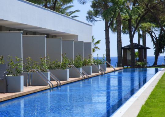 ACANTHUS CENNET BARUT 21