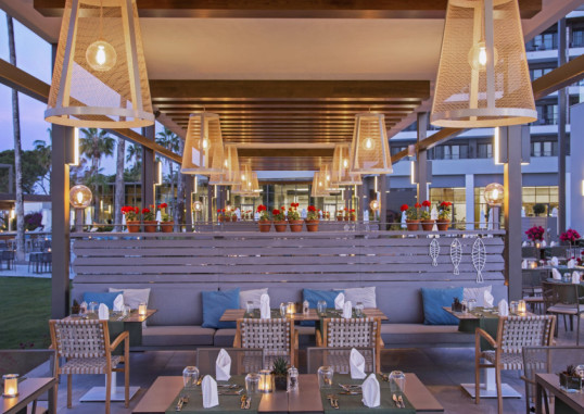 ACANTHUS CENNET BARUT 30