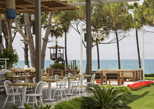 ACANTHUS CENNET BARUT 34