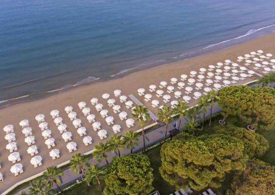 ACANTHUS CENNET BARUT 51