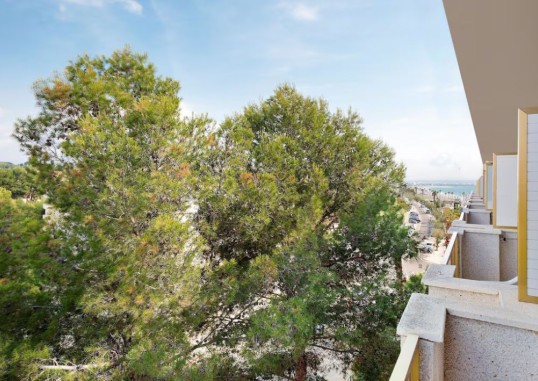 HOTEL BEST SOL D'OR 31
