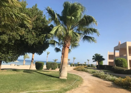 SHONI BAY RESORT 6