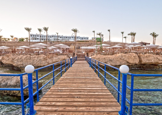 INVIDIA CORAL BEACH TIRAN 42
