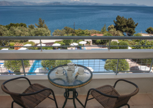 GOLDEN ALEXANDROS 29
