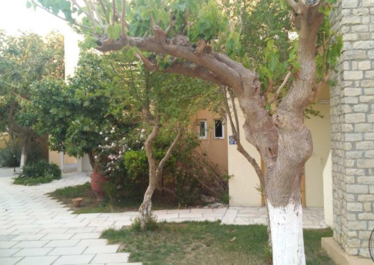YASSOU KRITI 6