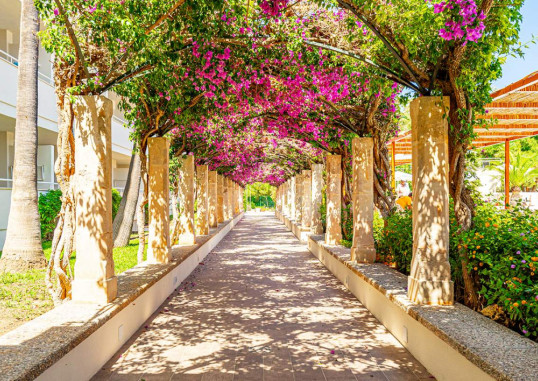 HOTEL ROSELLA 2