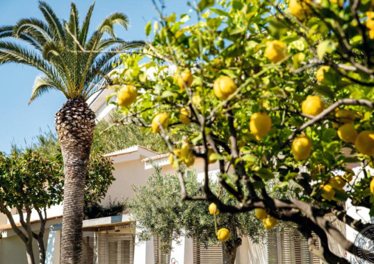 BAIA DEL SOLE RESORT 16