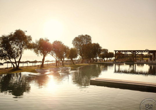 GRECOTEL CASA MARRON 7