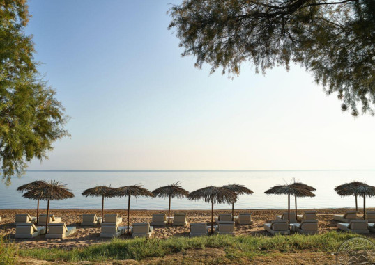 GRECOTEL CASA MARRON 8