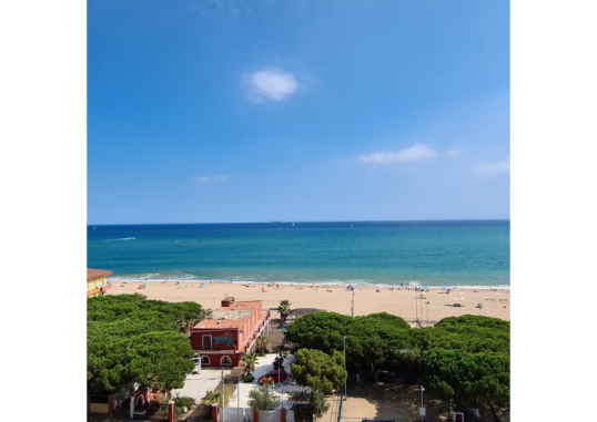 TROPIC PARK 25