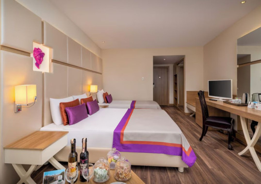 Standard Room 1