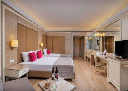 Standard Room 1