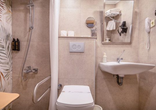Standard Handicapped Room 4
