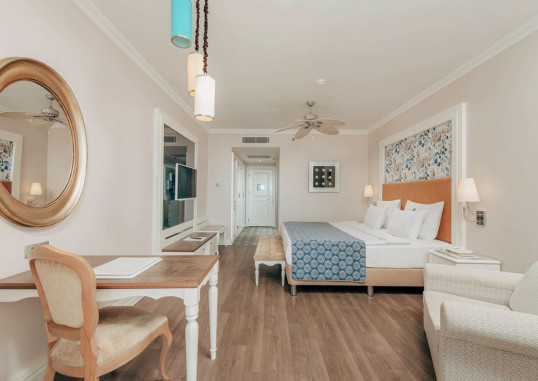 Deluxe Room 2