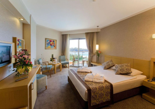 Hotel Standard Room 3