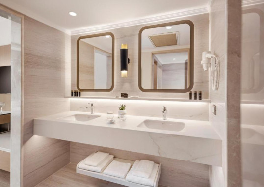 Deluxe Dublex Suite 4