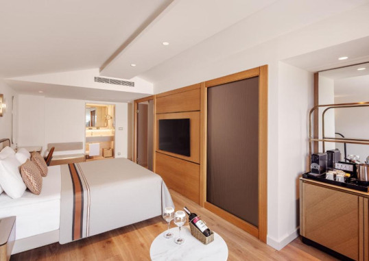 Deluxe Dublex Suite 5