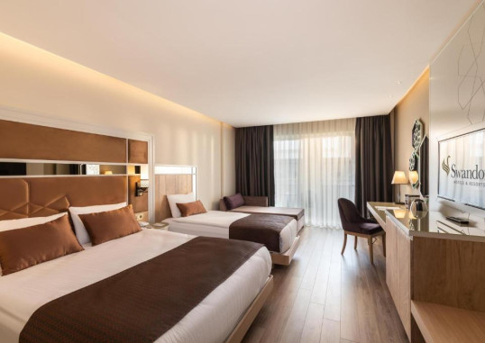 Deluxe Superior Room 1