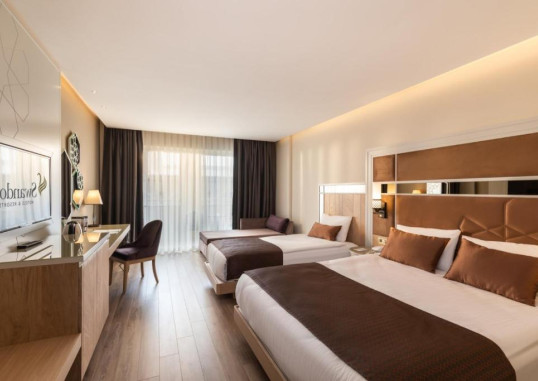 Deluxe Superior Room 2
