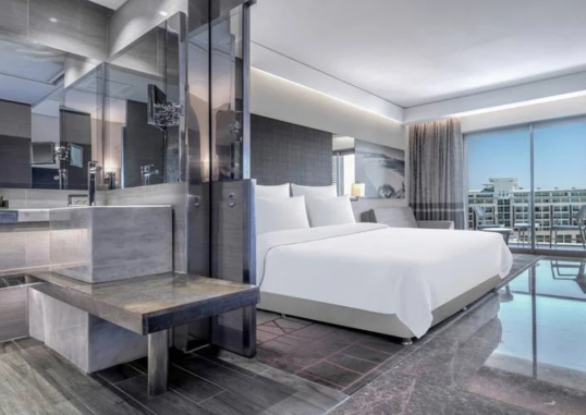 Deluxe Room 2
