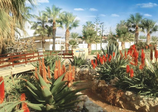 AKTI BEACH HOTEL & VILLAGE RESORT 29