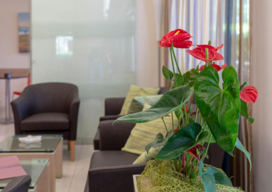 HOTEL ADIGRAT 6