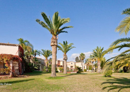 BAIA DELLE PALME 10