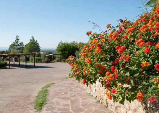 LU' HOTEL PORTO PINO 20
