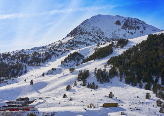 Andora 5