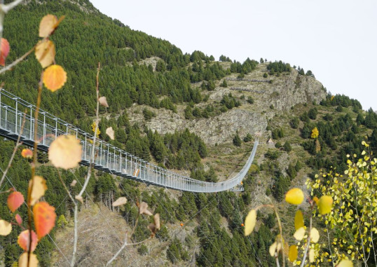 Andora 7