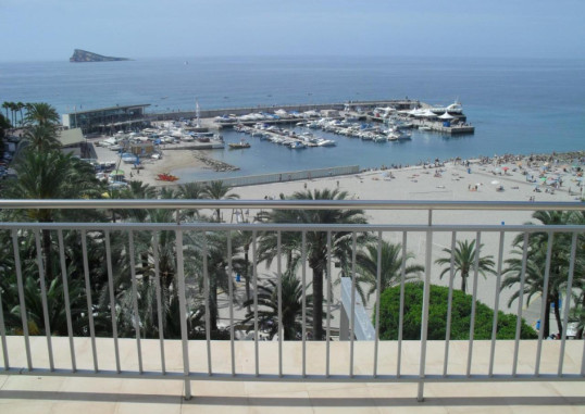 TANIT 19