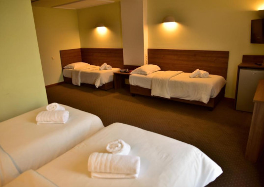 MONT HELMOS HOTEL 18