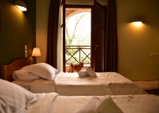MONT HELMOS HOTEL 26