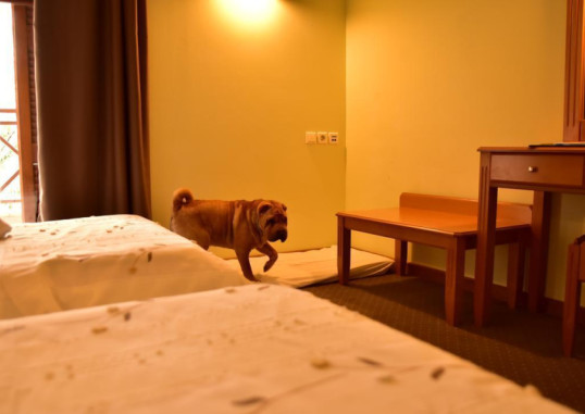 MONT HELMOS HOTEL 27