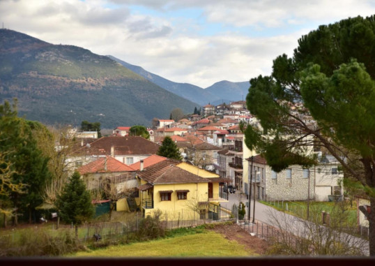 MONT HELMOS HOTEL 30